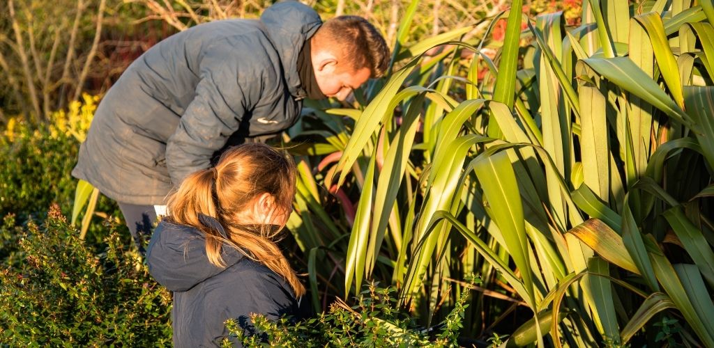 GMA Urges Members to Act Following HSE Findings on Pesticide Compliance