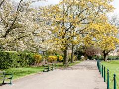 Parks: inquiry will examine impact of reduced local authority budgets and look at worries over potential closures