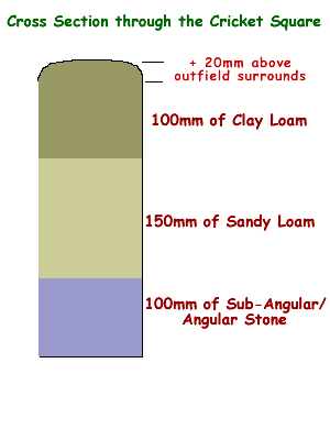 Cross-section of cricket square