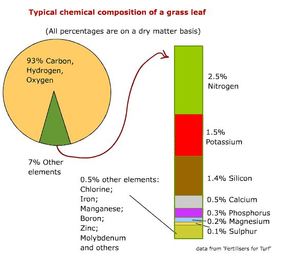 chemical composition of a grass leaf